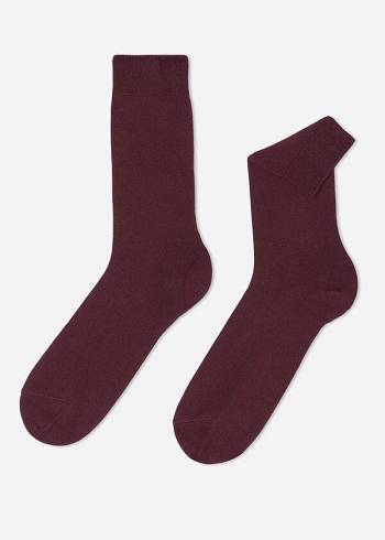 Calzedonia Crew with Cashmere Sokken Heren Bordeaux | NL1350QZ