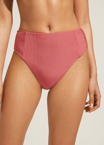 Calzedonia High Taille Biarritz Bikinibroekjes Dames Bruin | NL2774UT