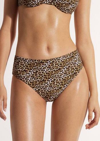 Calzedonia High Taille Malindi Bikinibroekjes Dames Bruin | NL2756BC