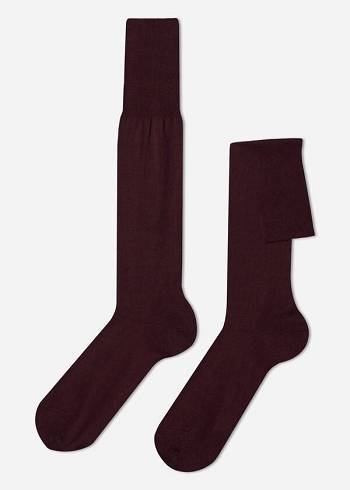 Calzedonia Lisle Thread Long Sokken Heren Bordeaux | NL1430EX