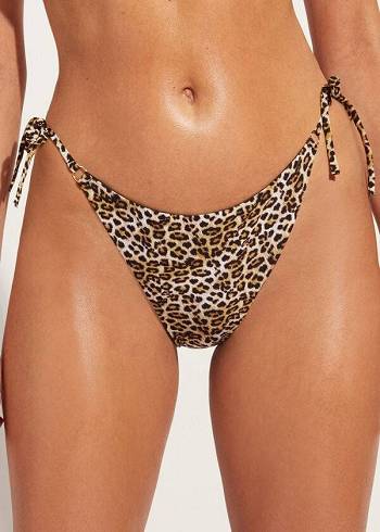 Calzedonia String Malindi Bikinibroekjes Dames Bruin | NL2588BC